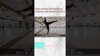 Ballet exercises for flexibility of Arabesque with Deuserband Part 1 [upl. by Ruthe]