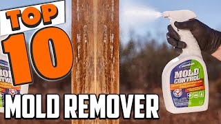 Best Mold Remover In 2024  Top 10 New Mold Removers Review [upl. by Ehcsrop]