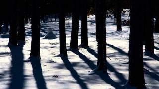 Snowbound by Genesis in 1080p HD [upl. by Bal]