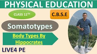 Hippocrates Body Types  Class 11 Physical Education  BPEd  MPEd [upl. by Corwin]