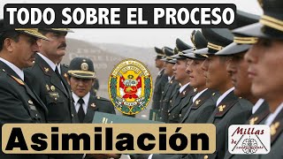 ASIMILACIÓN PNP Todo sobre el proceso [upl. by Glenna924]