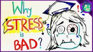 Why Stress Is Bad For You [upl. by Onivag]