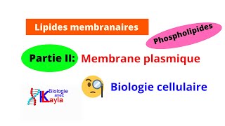 Lipides membranaires Phospholipides Membrane plasmique [upl. by Eiramnerual619]