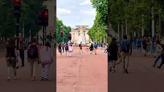 buckinghampalace london londonwalk viral shorts viralvideo shortvideo feed feedshorts [upl. by Ettennil852]