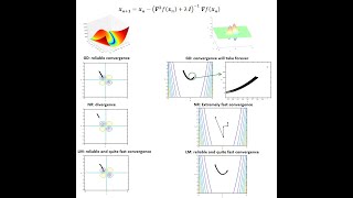 LevenbergMarquardt Algorithm [upl. by Marceau]