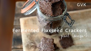 Fermented Flaxseed Crackers [upl. by Iasi]