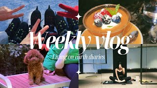 ⛸️ولاگ هفتگی  برای اولین بار رفتم اسکیت روی یخ تورنتو  ❄️Weekly Vlog [upl. by Kinsman410]