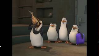 The Penguins of Madagascar  Rico Barfs promo clip [upl. by Klockau678]