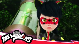 MIRACULOUS  🐞 RECREATION  Akumatized 🐾  SEASON 5  Tales of Ladybug amp Cat Noir [upl. by Naz177]