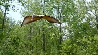 Pterodactyl or Pteranodon at Field Station Dinosaur [upl. by Adolfo]