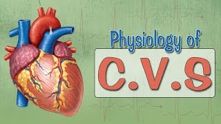 Easy Physiology  CVS  Introduction [upl. by Leon]