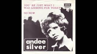 Andee Silver  Youre Just What I Was Looking For Today [upl. by Annaid939]