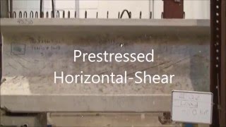 Experimental Comparison between Flexure and Shear Behavior [upl. by Gazo]