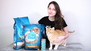 Purina ONE Cat Food Review We Tried It [upl. by Intosh19]