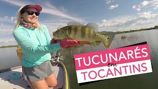 PESCARIA DE TUCUNARÉ AZUL NO LAGO DO PEIXE PARTE1  BELA PESCA [upl. by Stodder114]