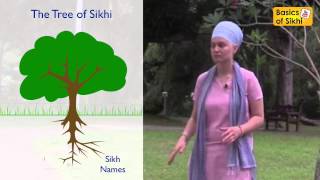 How can we get teenagers more interested in Sikhi  Gravesend QampA 18 [upl. by Nudd]