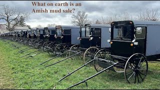 Episode 48 What on Earth is an Amish Mud Sale [upl. by Moody692]