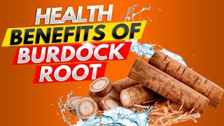 How Burdock Root Arctium Lappa Revitalizes Your Body Supercharge Your Detox [upl. by Ybbil]