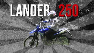 Honda Tornado vs Yamaha XTZ 250cc lander  ¿Cuál es mejor ¿cuál compro ficha tecnica vel max etc [upl. by Russia]