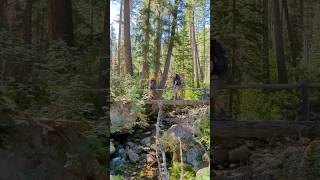 Hiking in the Bitterroot Mountains with BitterrootBackpacking ​⁠ GuideTime Guide Outfitter [upl. by Krissie]