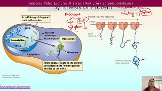 Mechanism of Sorting and Regulation in Intracellular Transport  CSIR Life Sciences [upl. by Ennovoj]