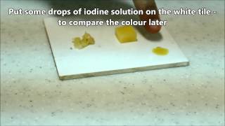 BIOLOGY 03  Iodine test on potato [upl. by Hploda]