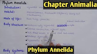 Phylum Annelida Characters And Classification Fully Explain In Hindi Urdu [upl. by Melody917]