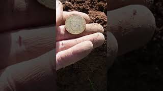 Belle monnaie dans un trou detection détecteurdemétaux equinox shorts minelab [upl. by Vins]