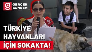 AKPnin Sokak Hayvanlarına Yönelik Uyutma Yasasına Türkiye Sokaktan Ses Yükseltiyor [upl. by Streetman]