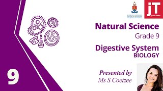 Grade 9 Natural Science  Biology  Digestive System [upl. by Hike]