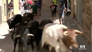 ENTRADA DE TOROS Y CABALLOS DE SEGORBE 09092024 [upl. by Bunow]