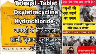 Oxytetracycline Hydrochloride Tablets Tetrapil tablets for Animal Use जानवरो मे उपयोग ली जाने वाली [upl. by Nahtonoj]