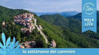 La Via Francisca del Lucomagno storia e monumenti lungo il cammino [upl. by Enitsrik432]