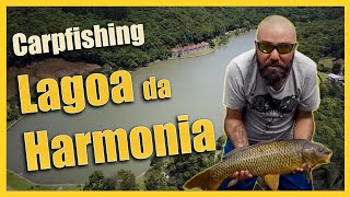 CARPFISHING na LAGOA da HARMONIA [upl. by Enaed89]