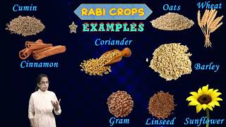 Kharif Rabi amp Zaid Crops Sowing amp Harvesting Seasons Major Crops Differences  Agriculture  NSO [upl. by Dowell]