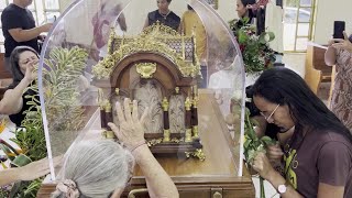 Relíquias de Santa Teresinha do Menino Jesus visitam o Brasil [upl. by Suqram]