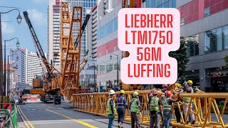 LIEBHERR LTM1750  91 with 56m Luffing Jib Setup  Part Two [upl. by Oliviero]