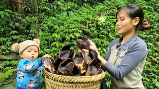 Single mother Harvesting natural horseshoe tubers to sell  Taking care of the vegetable garden [upl. by Nodnyl]