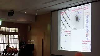 Dr Katsuya Inoue SKCM2 Macroscopic spin phase order in chiral magnets [upl. by Egap95]