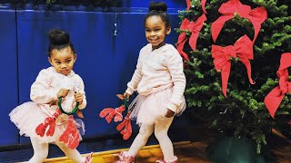 Rudolph the Red Nosed Reindeer Dance Video [upl. by Zitah]