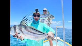 Baha Mexico  Sea of Cortez Early May 2023 Fly Fishing for Rooster Fish [upl. by Copland149]