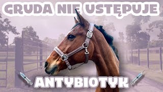 💉 SONET NA ANTYBIOTYKU  GRUDA NIE USTĘPUJE [upl. by Ellekcir]