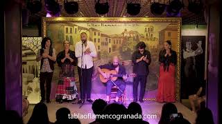 Espectáculos de Flamenco en Granada  Tablao Albayzin [upl. by Nahtaoj693]