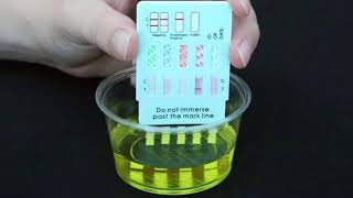 EasyHome Drug Test Dip Cards [upl. by Ysor799]