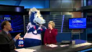 Fox59s Angela Ganote Surprised by Indianapolis Colts Mascot [upl. by Stine]