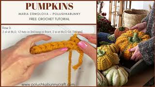 Adorable PUMPKIN🎃 CROCHET TUTORIAL  by Polushkabunny [upl. by Ffoeg]