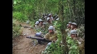 WWI Footage  Colorized amp HD Restoration  MeuseArgonne Offensive 1918 [upl. by Sadira]