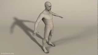 Male Body Topology [upl. by Fair]