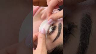 How to lash in 30 seconds 😀lashtraining lashcourse lashset [upl. by Maidy]