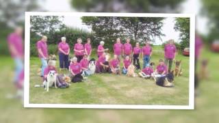 Wensum Dog Training Club Display Team  9th July 2017 [upl. by Eidroj]